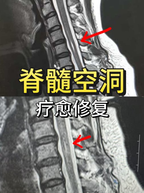 学员见证 17